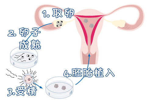 实验室2